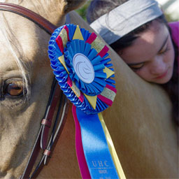 From Pasture Plug to Champion